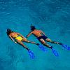 Hawaii Beachfront Vacation Rental - Snorkel" title="Warm waters and abundant marine life close to shore make Kona a snorkeling paradise.