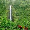 Akaka falls, situated in a dense tropical rainforest.