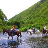 Horseback riding through Waipio Valley. 